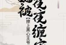 主角叫裴汐颜祁宸珞裴洳雪小说撩上黑心王爷后，她被夜夜缠宠章节免费阅读-贝壳文学