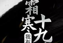 林天小说叫什么（我有一剑，霜寒十九州免费阅读）-贝壳文学
