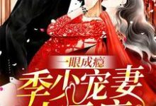 一眼成瘾：季少宠妻太无度免费阅读，一眼成瘾：季少宠妻太无度顾汐妍季霆骁凌灵叶柯-贝壳文学