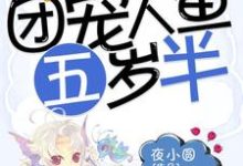 团宠人鱼五岁半这本小说在哪里可以看？哪里有免费试读章节？-贝壳文学