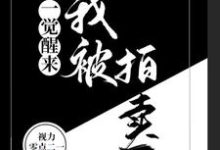 一觉醒来，我被拍卖了最新章节，一觉醒来，我被拍卖了免费阅读-贝壳文学