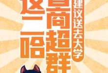 这二哈智商超群，建议送去大学主角 小哈欣欣小说完结版章节在线阅读-贝壳文学