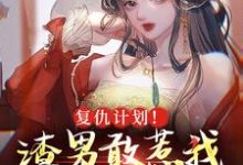 复仇计划！渣男敢惹我将门虎女小说最新更新在哪里？免费在线看-贝壳文学