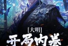 大明：开局内卷，我渔翁得利小说，大明：开局内卷，我渔翁得利免费阅读-贝壳文学
