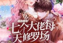 小说《病娇团宠:七个大佬每天修罗场》在线章节阅读-贝壳文学