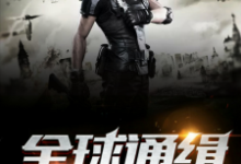 宋阳丫丫黄博小说叫什么（全球通缉免费阅读）-贝壳文学