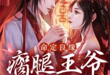 完结版《命定良缘：瘸腿王爷实力宠》章节阅读-贝壳文学