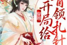 穿越：开局给首领扎针小说无弹窗阅读的网站推荐-贝壳文学
