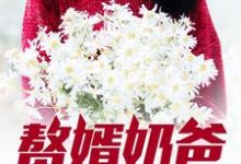 赘婿奶爸这本小说完结了吗？免费查看最新章节-贝壳文学