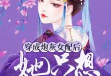 穿成炮灰女配后,她只想逃婚云娆娆宋峥小说在线章节目录阅读最新章节-贝壳文学
