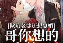 司染墨寒屿小说在线章节免费阅读(欺负老婆还想复婚,哥你想的太美了无弹窗无删减)-贝壳文学