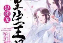 重生王妃是团宠乔荞陆风临林清雅秋月小说免费阅读-贝壳文学