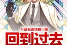 回到过去当奶爸小说，回到过去当奶爸章节在线阅读-贝壳文学