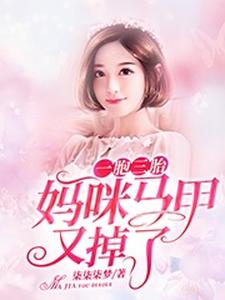 求一胞三胎，妈咪马甲又掉了小说免费资源