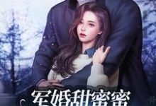 完结版《军婚甜蜜蜜：兵王老公使劲宠》章节目录在线阅读-贝壳文学