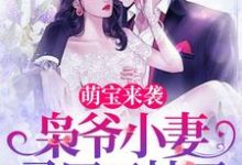 免费看萌宝来袭，枭爷小妻马甲又掉了小说的网站有哪些？-贝壳文学