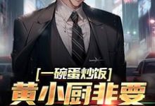 苏晨为主角的小说好看吗？免费读一碗蛋炒饭，黄小厨非要拜我为师-贝壳文学