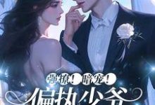 在线搜索梁迟音陈赴淮的完整小说，免费阅读强撩！暗宠！偏执少爷心动一万次-贝壳文学
