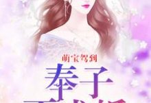 完结版《萌宝驾到：奉子不成婚》章节阅读-贝壳文学