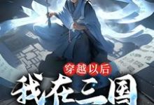 穿越以后，我在三国呼风唤雨张成贾诩，穿越以后，我在三国呼风唤雨最新章节-贝壳文学