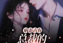 病态占有：总裁的私有宝贝免费阅读，病态占有：总裁的私有宝贝章节在线阅读-贝壳文学