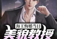 小说《海王悔婚当日，美貌教授求娶我》在线章节阅读-贝壳文学