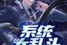 系统大乱斗丁小志曲问歌小说免费阅读-贝壳文学