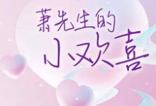 萧先生的小欢喜小说最新更新在哪里？免费在线看-贝壳文学