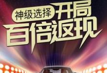 神级选择：开局百倍返现主角沈浪林婉雪小说完结版章节在线阅读-贝壳文学