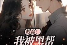 救命！我被黑帮大佬盯上了（白诗如陆一璟）在线免费阅读-贝壳文学