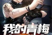 我的青梅超威武小说的免费阅读版本在哪里可以找到？-贝壳文学