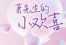 萧先生的小欢喜小说的免费阅读版本在哪里可以找到?-贝壳文学