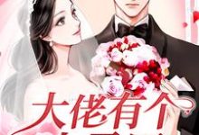 主人公叫许净盛远津的小说大佬有个小马甲在线阅读章节-贝壳文学