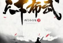 天下布武小说全文阅读需要付费吗？寻找免费资源-贝壳文学