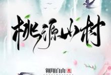 桃源山村小说的免费电子版在哪里可以下载或阅读?-贝壳文学
