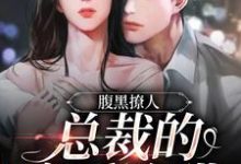 腹黑撩人:总裁的宠爱陷阱小说无弹窗阅读的网站推荐-贝壳文学