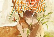 普通人的魔法之旅小说,普通人的魔法之旅免费阅读-贝壳文学
