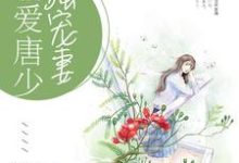 霸爱唐少独宠妻最新章节，霸爱唐少独宠妻章节在线阅读-贝壳文学
