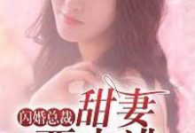 完结版《闪婚总裁：甜妻要出逃》在线免费阅读-贝壳文学