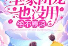 主角叫陆莺晗的小说在哪阅读-贝壳文学