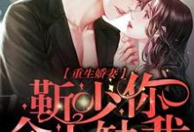 小说《重生娇妻：靳少，你命中缺我》在线章节阅读-贝壳文学