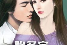 一胎多宝：总裁宠妻没道理小说有没有完结版在线？-贝壳文学