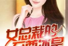 女总裁的至尊兵皇小说完结了吗?在哪里可以免费读到?-贝壳文学