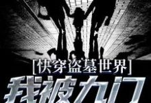 快穿盗墓世界，我被九门宠上天小说阅读，快穿盗墓世界，我被九门宠上天完结版-贝壳文学