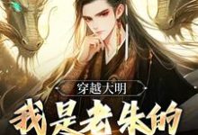 小说《穿越大明：我是老朱的头号黑粉》章节免费阅读-贝壳文学