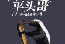 已完结小说《转生:开局成了平头哥》章节免费阅读-贝壳文学