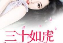 小说《三十如虎》章节免费阅读-贝壳文学