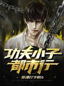 小说《功夫小子都市行》在线章节阅读
