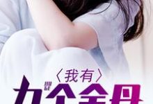 小说《我有九个金丹》章节阅读-贝壳文学