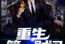 重生第一财阀小说，重生第一财阀章节在线阅读-贝壳文学